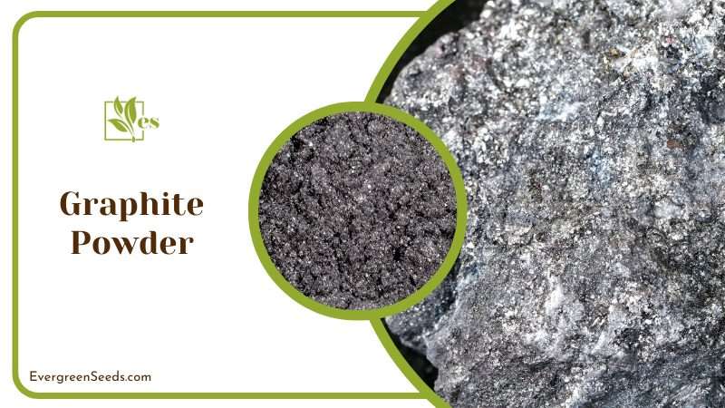 Reduce Friction with Graphite Powder 1
