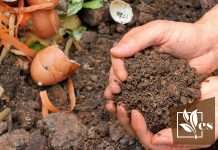 A Simple Guide To Make Humic Fertilizer