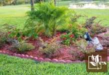 Expert Tips To Choose Plants for Landscaping