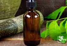 Correct Steps to Kill Chiggers Using Neem Oil