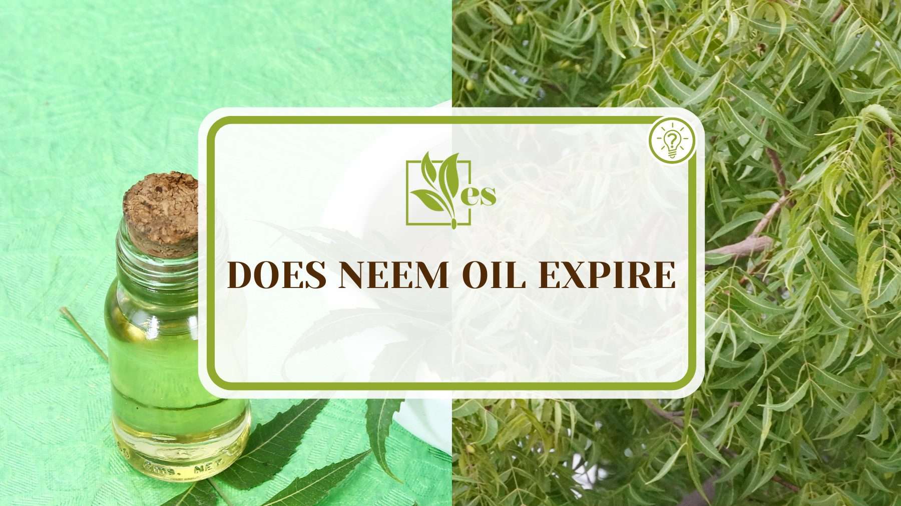 Duration of Neem Oil 1