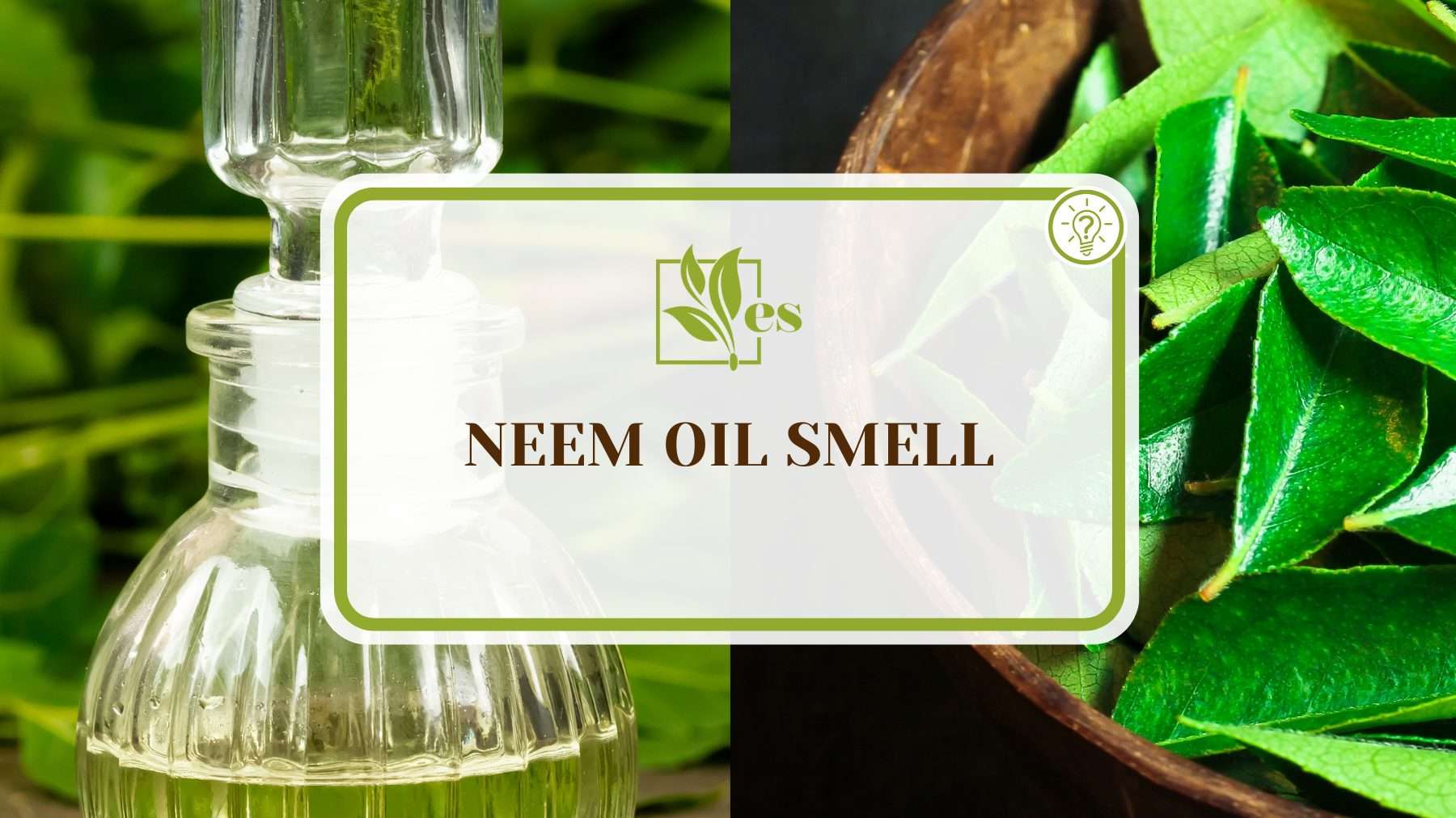 Neem Oil Smell