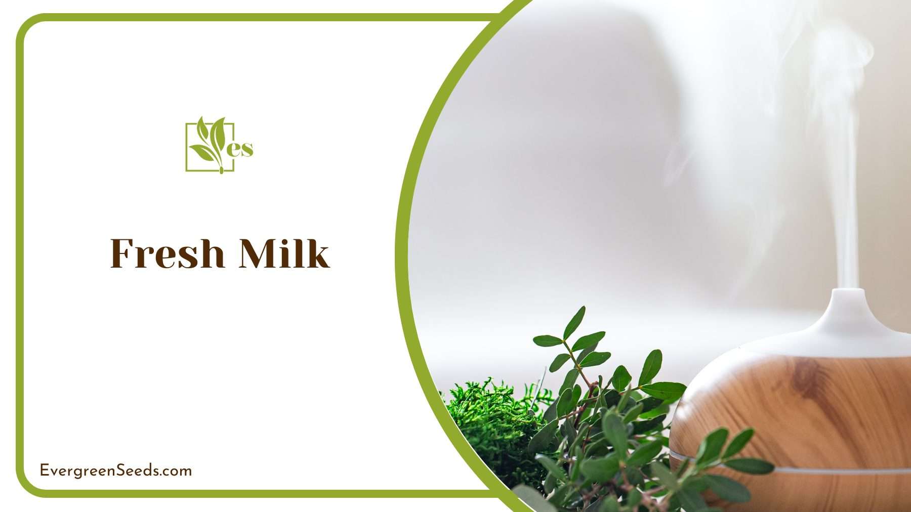 Using Fresh Milk with Oil