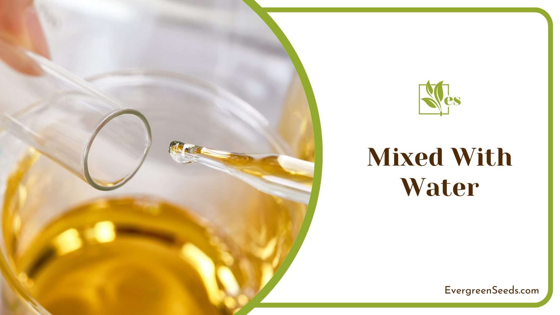 Water Mixed Neem Oil